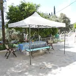 Gregory's פאלאוקסטריצה