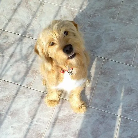 Appartamento Gregory's *