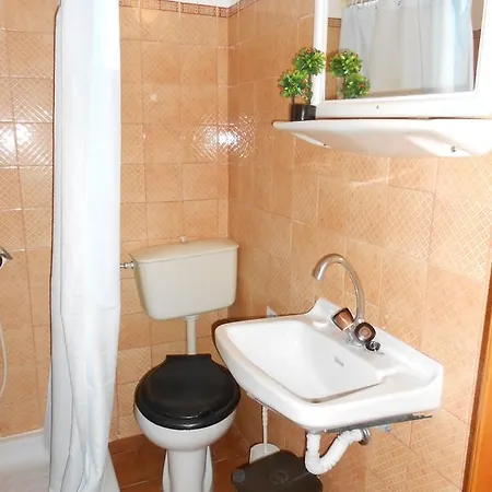 Gregory's פאלאוקסטריצה